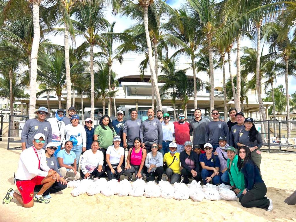 🐢 Protegen más de 4 mil huevos de tortuga golfina en playas de Cabo San&nbsp;Lucas