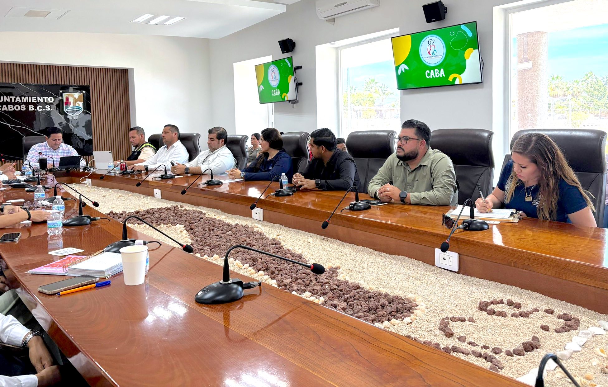 Definen acciones prioritarias del Comité Pro Animal 2026 en Los&nbsp;Cabos